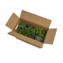 Borderpakket Herb Garden